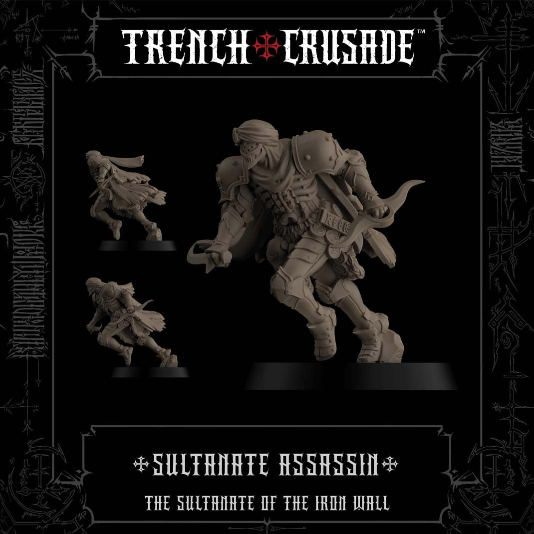 The Sultanate of the Iron Wall Sultanate Assassin